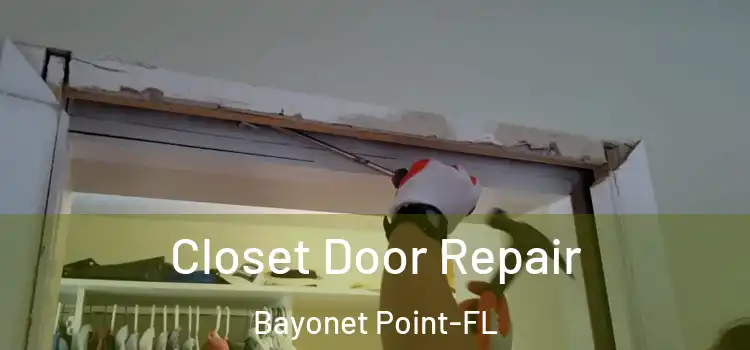  Closet Door Repair Bayonet Point-FL