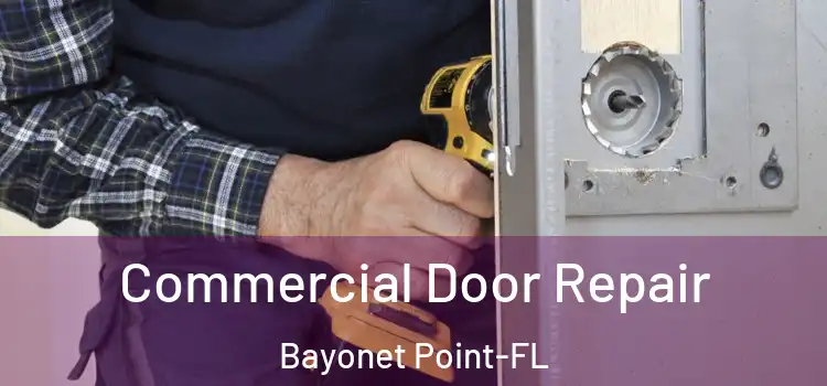  Commercial Door Repair Bayonet Point-FL