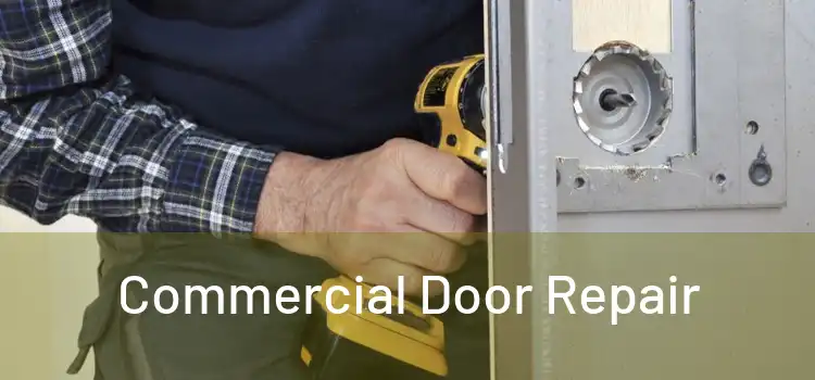 Commercial Door Repair