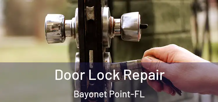  Door Lock Repair Bayonet Point-FL