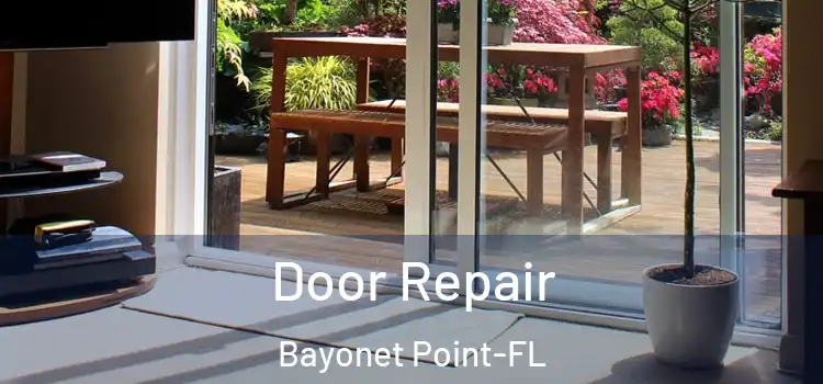 Door Repair Bayonet Point-FL