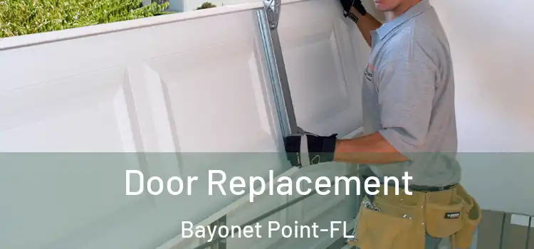  Door Replacement Bayonet Point-FL