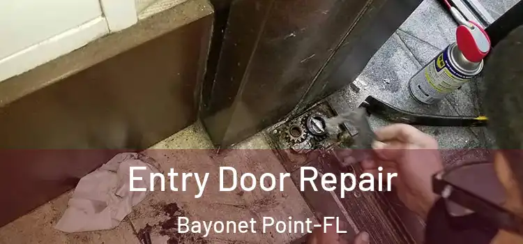  Entry Door Repair Bayonet Point-FL