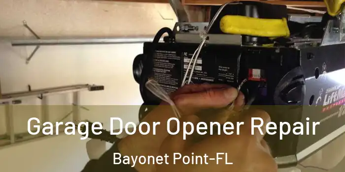  Garage Door Opener Repair Bayonet Point-FL