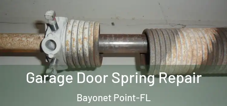  Garage Door Spring Repair Bayonet Point-FL