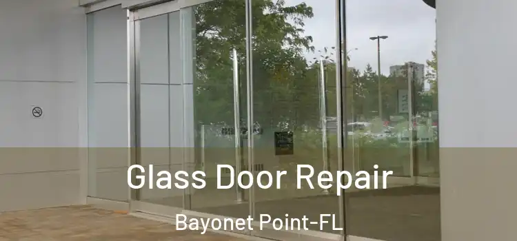  Glass Door Repair Bayonet Point-FL