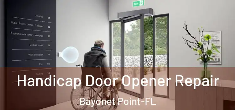  Handicap Door Opener Repair Bayonet Point-FL