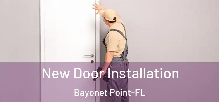  New Door Installation Bayonet Point-FL