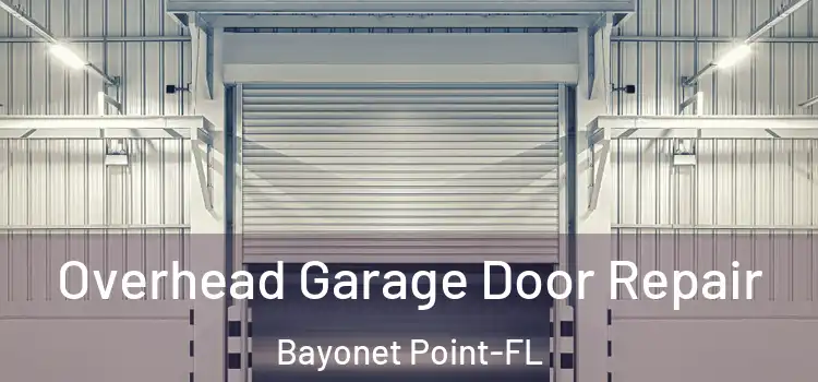  Overhead Garage Door Repair Bayonet Point-FL