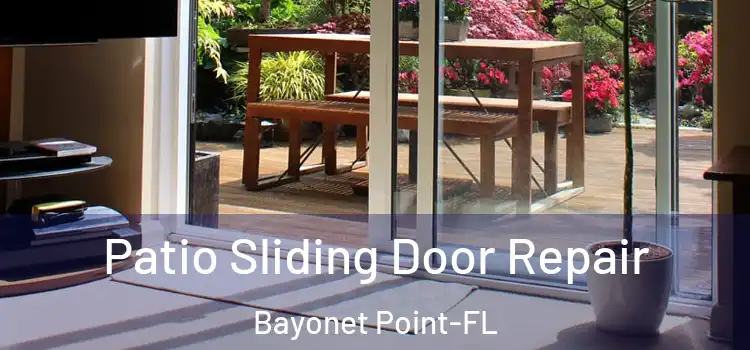  Patio Sliding Door Repair Bayonet Point-FL
