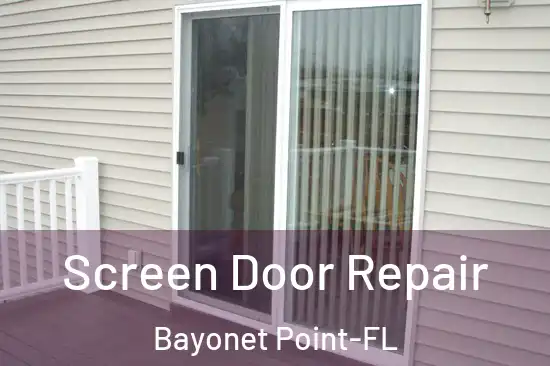  Screen Door Repair Bayonet Point-FL