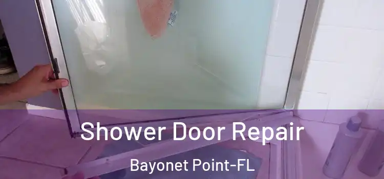  Shower Door Repair Bayonet Point-FL