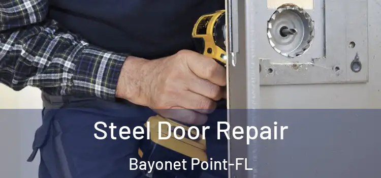  Steel Door Repair Bayonet Point-FL