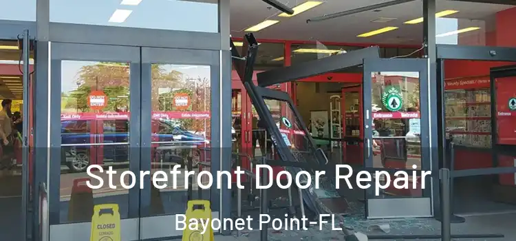  Storefront Door Repair Bayonet Point-FL